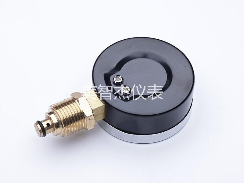 Y80RadialTemperaturePressure Gauge - Image 3