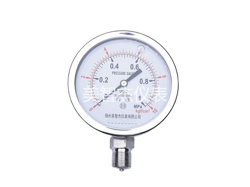 YN60 Axial Front Stainless Steel Anti-vibration Gauge