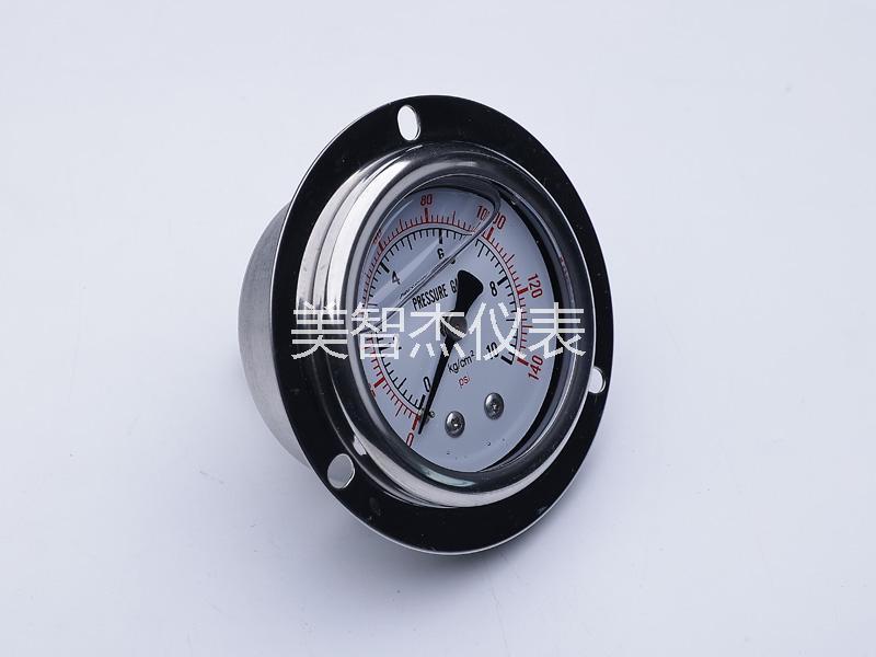 YN50 Axial with Flange Anti-vibration Pressure Gauge - Image 2