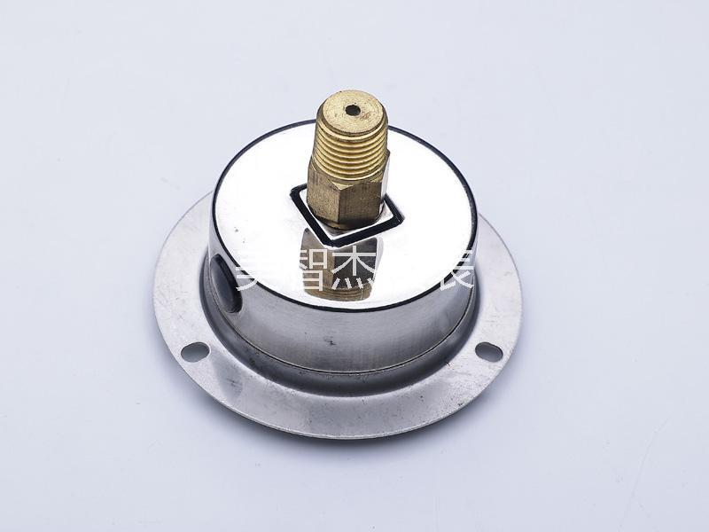 YN50 Axial with Flange Anti-vibration Pressure Gauge - Image 3