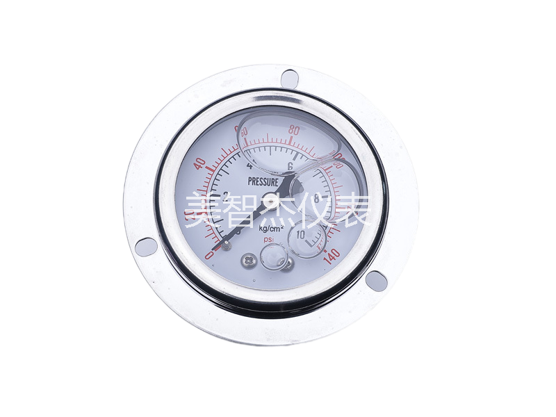 YN50 Axial with Flange Anti-vibration Pressure Gauge - Image 1