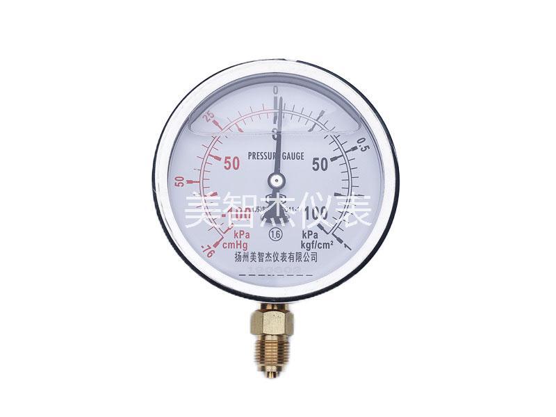 Anti-vibration Pressure Gauge Type 169