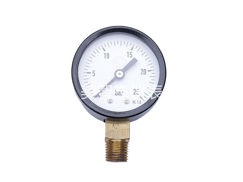 Y50 Radial Pressure Gauge