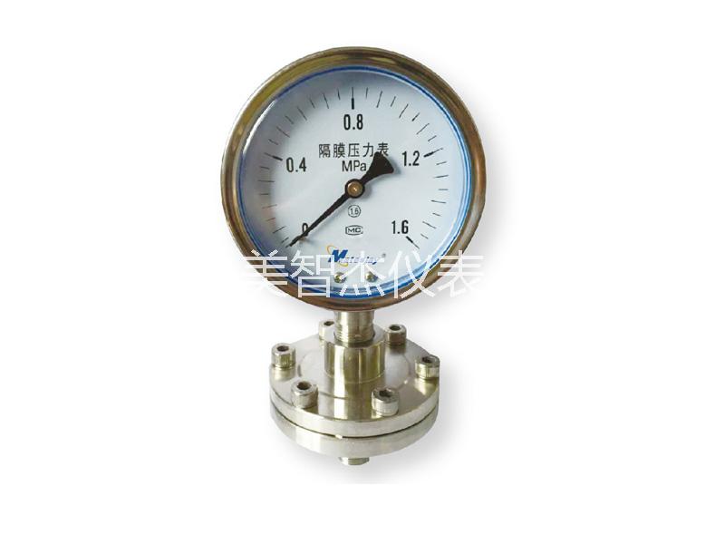 Diaphragm Pressure Gauge