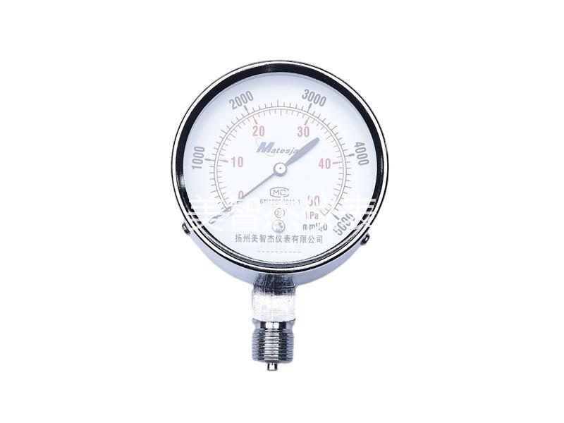 Diaphragm Capsule Pressure Gauge