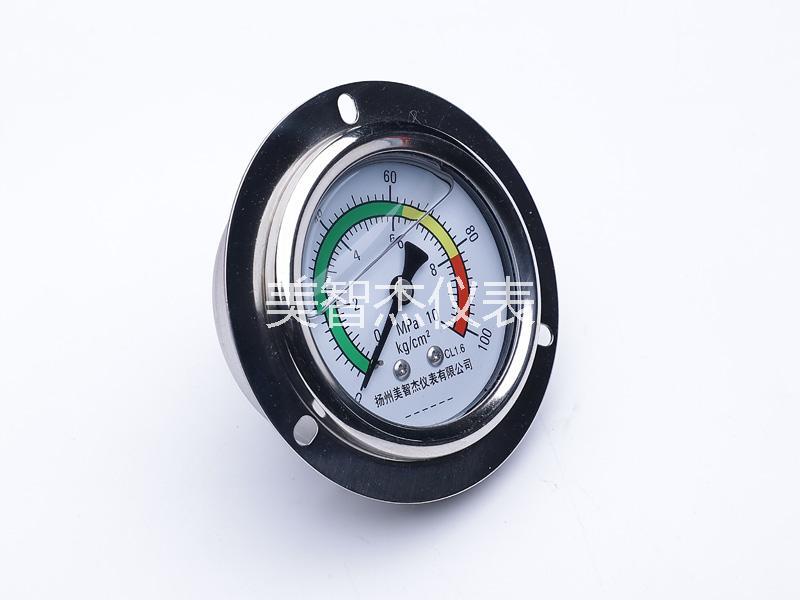 YN60AxialFront FlangeStainless SteelAnti-vibrationGauge - Image 2