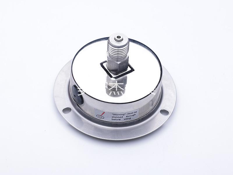 YN60AxialFront FlangeStainless SteelAnti-vibrationGauge - Image 3