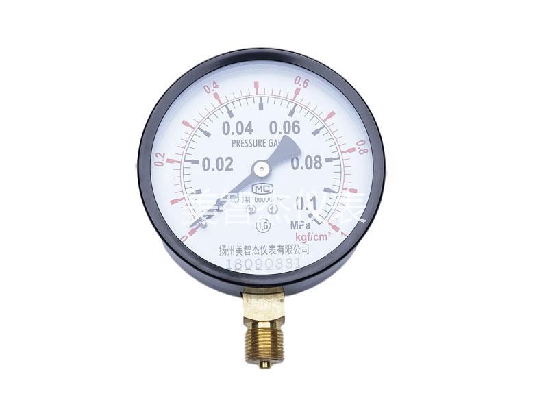 Y100 Radial Pressure Gauge